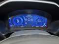 Ford Kuga Kuga 2.0 ecoblue mhev Titanium Business 2wd 150cv - thumbnail 6