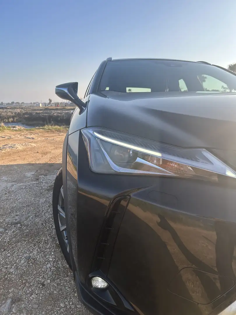 Lexus UX 300e business - 2