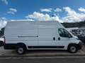 Fiat Ducato H3 Kastenwagen 35 L4H3 180 Multijet Maxi Blanc - thumbnail 3