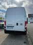 Fiat Ducato H3 Kastenwagen 35 L4H3 180 Multijet Maxi Blanc - thumbnail 6