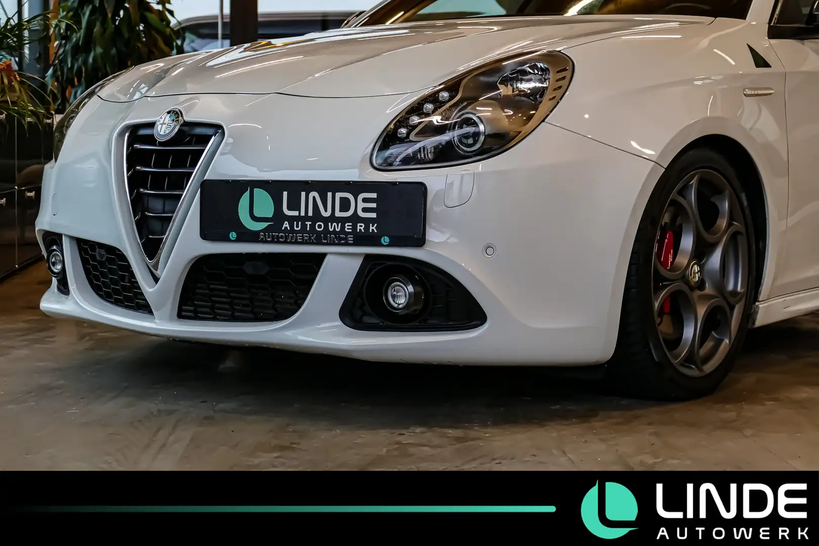 Alfa Romeo Giulietta Quadrifoglio Verde |ALCANTARA|SPORT| Weiß - 2