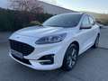 Ford Kuga 1.5 EcoBoost ST-Line ACC/LED/RFK/BLIS Weiß - thumbnail 2