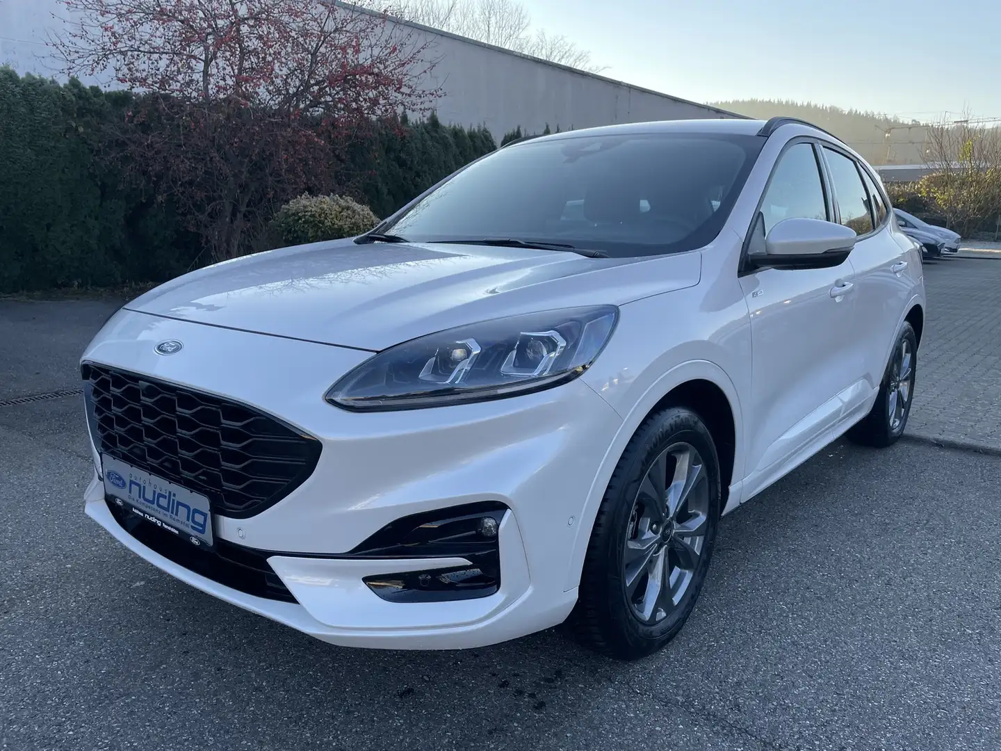 Ford Kuga 1.5 EcoBoost ST-Line ACC/LED/RFK/BLIS Weiß - 2