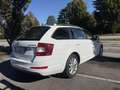 Skoda Octavia 1.6 tdi cr Executive 110cv dsg Bianco - thumbnail 4
