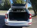 Skoda Octavia 1.6 tdi cr Executive 110cv dsg Bianco - thumbnail 10