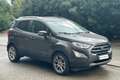 Ford EcoSport 1.5 Ecoblue 95 CV Start&Stop Titanium Argento - thumbnail 3