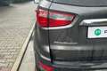 Ford EcoSport 1.5 Ecoblue 95 CV Start&Stop Titanium Argento - thumbnail 10