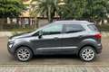 Ford EcoSport 1.5 Ecoblue 95 CV Start&Stop Titanium Argento - thumbnail 8