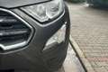 Ford EcoSport 1.5 Ecoblue 95 CV Start&Stop Titanium Argento - thumbnail 9