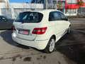 Mercedes-Benz B 150 B -Klasse B 150 Sport Paket Blanco - thumbnail 4