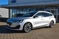 Ford Focus 1,0 EcoBoost Hybrid 92kW Titanium Tur Silber - thumbnail 1