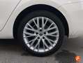 SEAT Leon SP 1.4 e-Hybrid DSG S&S Xcellence Go XL Blanco - thumbnail 25