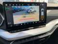 Skoda Octavia Selection TSI mHEV DSG Grau - thumbnail 15