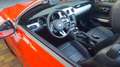 Ford Mustang Mustang Cabrio 2.3 Eco Boost Rot - thumbnail 4