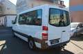 Mercedes-Benz Sprinter II Kombi 316 CDI/8 Sitzer/Klima/Ahk. Weiß - thumbnail 7