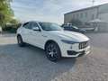 Maserati Levante 3.0 V6 275cv auto TETTO + INTERNI PELLE BIANCA White - thumbnail 3