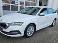 Skoda Octavia Style Weiß - thumbnail 15
