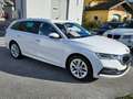Skoda Octavia Style Weiß - thumbnail 4