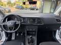 SEAT Ateca 1.0 TSI Ecomotive Business Rif. Antonio Bianco - thumbnail 17