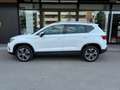 SEAT Ateca 1.0 TSI Ecomotive Business Rif. Antonio Bianco - thumbnail 5