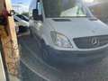 Mercedes-Benz Sprinter SprnteLank6Gang1Hand+TÜV Neu1JahrGarantie+Euro5 Weiß - thumbnail 15