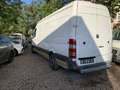 Mercedes-Benz Sprinter SprnteLank6Gang1Hand+TÜV Neu1JahrGarantie+Euro5 Weiß - thumbnail 23
