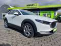 Mazda CX-30 2.0SKYACTIV-G Selection+LED+NAVI+TEMPO+PDC Weiß - thumbnail 2