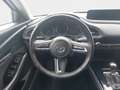 Mazda CX-30 2.0SKYACTIV-G Selection+LED+NAVI+TEMPO+PDC Weiß - thumbnail 30