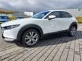 Mazda CX-30 2.0SKYACTIV-G Selection+LED+NAVI+TEMPO+PDC Weiß - thumbnail 6