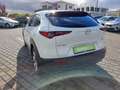 Mazda CX-30 2.0SKYACTIV-G Selection+LED+NAVI+TEMPO+PDC Weiß - thumbnail 9