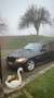 BMW 316 316d DPF Touring Edition Lifestyle - thumbnail 5