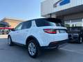 Land Rover Discovery Sport Discovery Sport 2.0d td4 mhev awd 163cv auto Bianco - thumbnail 6