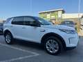 Land Rover Discovery Sport Discovery Sport 2.0d td4 mhev awd 163cv auto Bianco - thumbnail 3