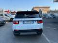 Land Rover Discovery Sport Discovery Sport 2.0d td4 mhev awd 163cv auto Bianco - thumbnail 5