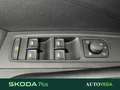 Skoda Fabia 1.0 mpi evo selection 80cv Grigio - thumbnail 11