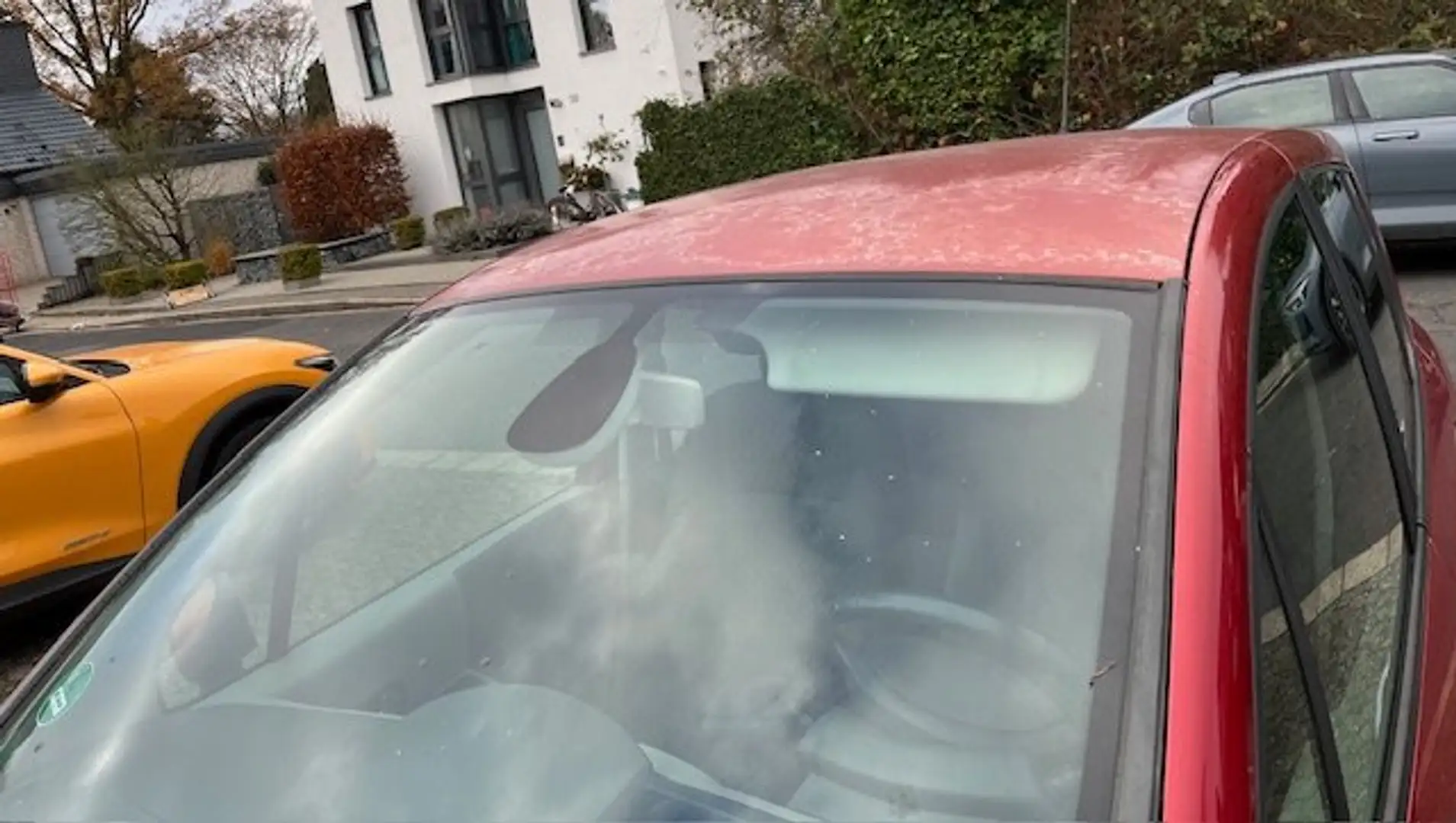 Renault Modus Roşu - 2