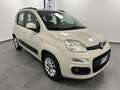 Fiat Panda Panda 1.2 Lounge Beige - thumbnail 4