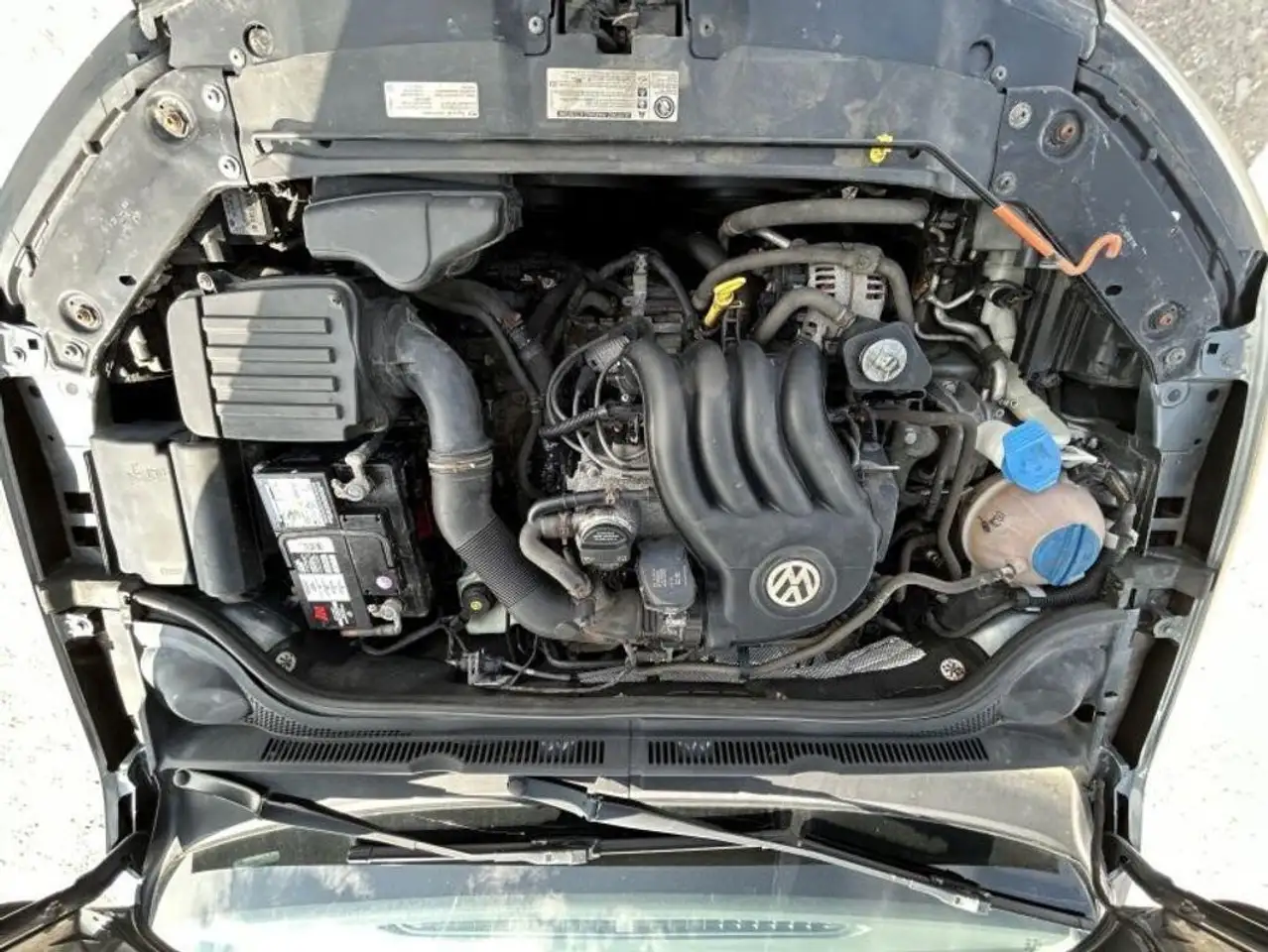 wagen Jetta photo wagen Jetta