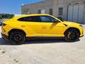 Lamborghini Urus 4.0 V8 BI-TURBO “FULL OPTIONAL” Giallo - thumbnail 6