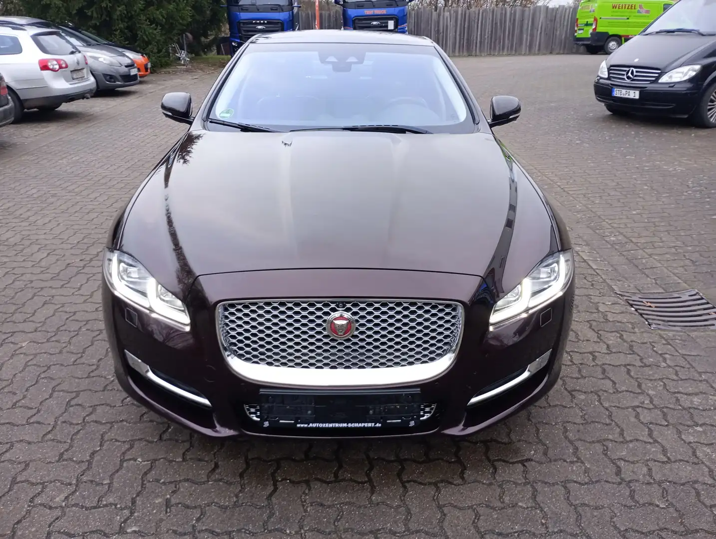 Jaguar XJ XJ 3.0 V6 Diesel Premium Luxury Violett - 2