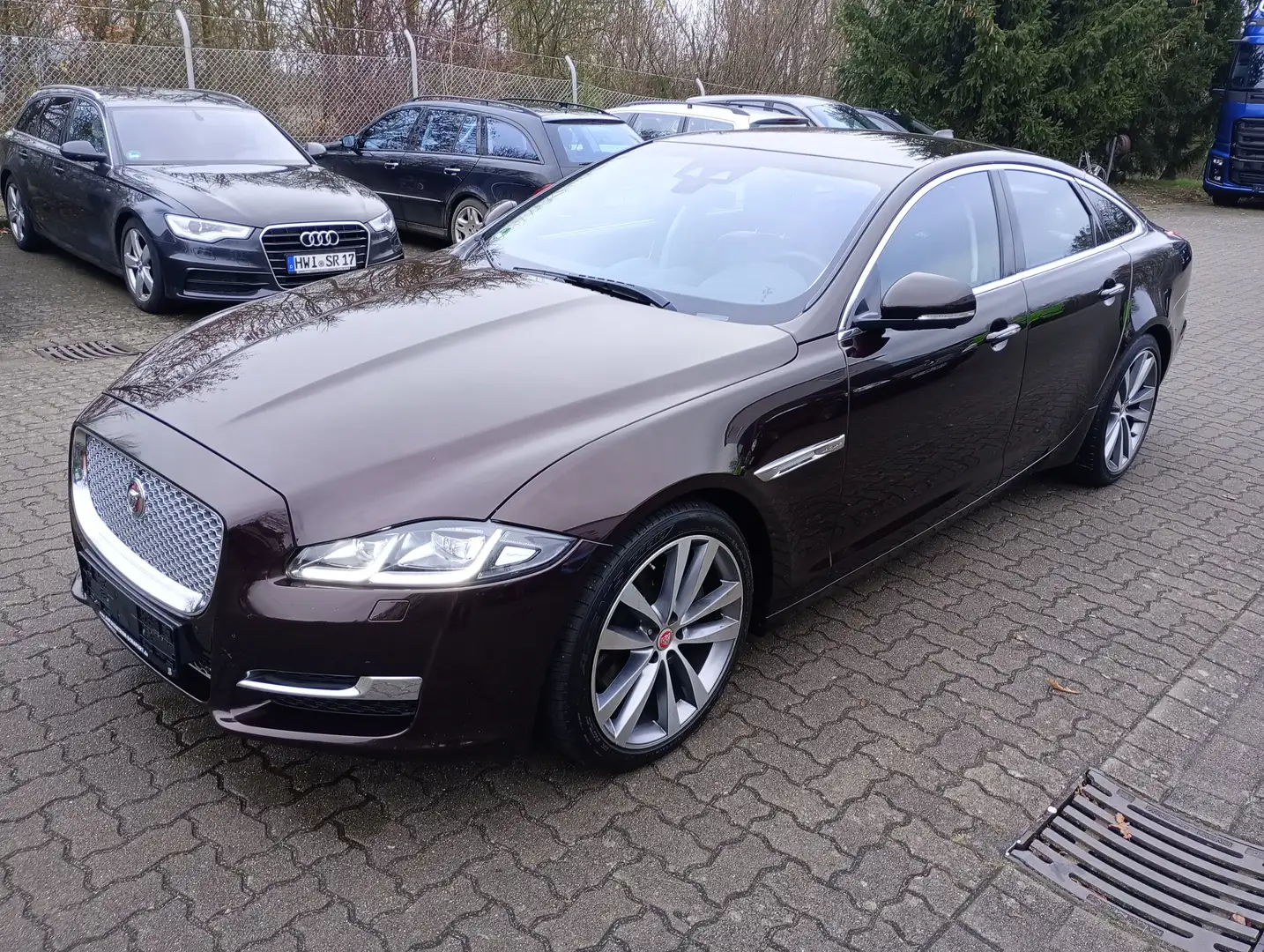 Jaguar XJ XJ 3.0 V6 Diesel Premium Luxury Violett - 1
