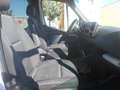 Mercedes-Benz Sprinter 9 posti panorama Bianco - thumbnail 14