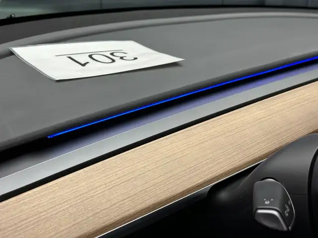 Tesla Model Y view 10