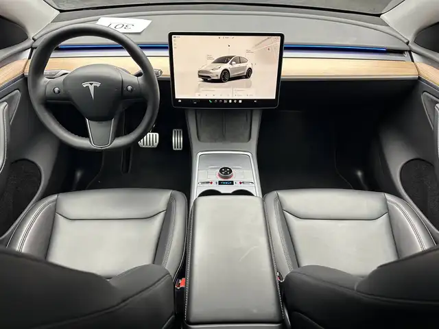 Tesla Model Y view 18