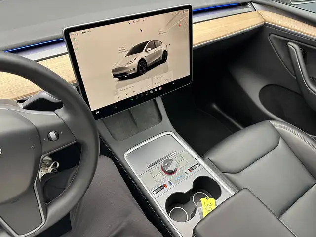 Tesla Model Y view 23