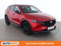 Mazda CX-5 2.2 SKYACTIV-D Homura AWD Rot - thumbnail 8