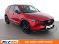 Mazda CX-5 2.2 SKYACTIV-D Homura AWD Rot - thumbnail 8