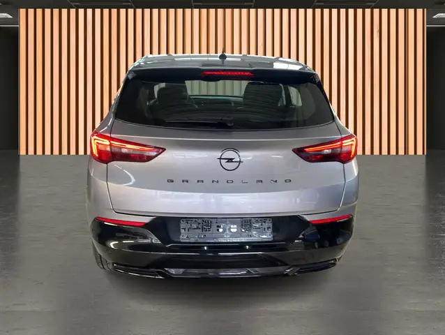 Opel Grandland X view 25