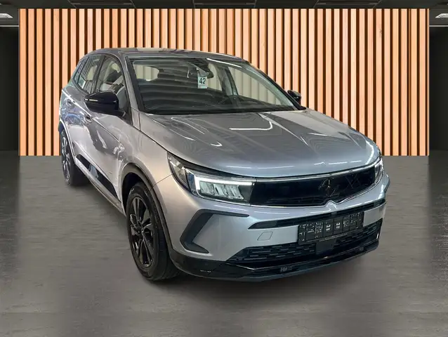 Opel Grandland X view 23
