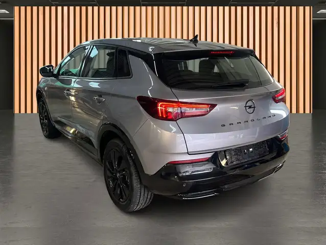 Opel Grandland X view 4